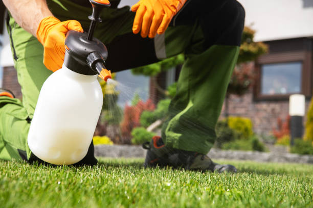 Best Best Pest Control Companies  in Steele Creek, AK