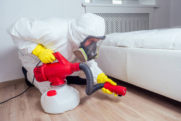 Best Pest Control Treatment  in Steele Creek, AK